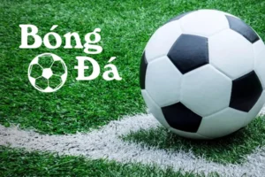 Quy Tắc Xác Định Bóng Trong Cuộc Và Bóng Ngoài Cuộc