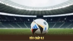 Bí Quyết Áp Dụng Cách Chơi Kèo Chấp 0.5 Mang Lại Thành Công Rực Rỡ