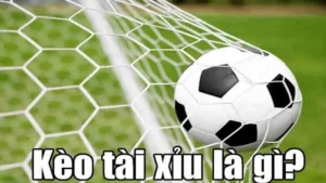 Bí Quyết Học Cách Chơi Kèo Tài Xỉu Bóng Đá Luôn Thắng Lớn
