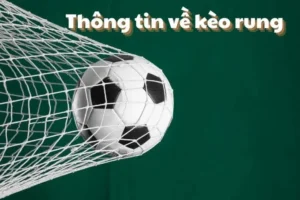 Hướng Dẫn Chi Tiết Cách Chơi Kèo Rung Trong Bóng Đá Hiệu Quả Nhất
